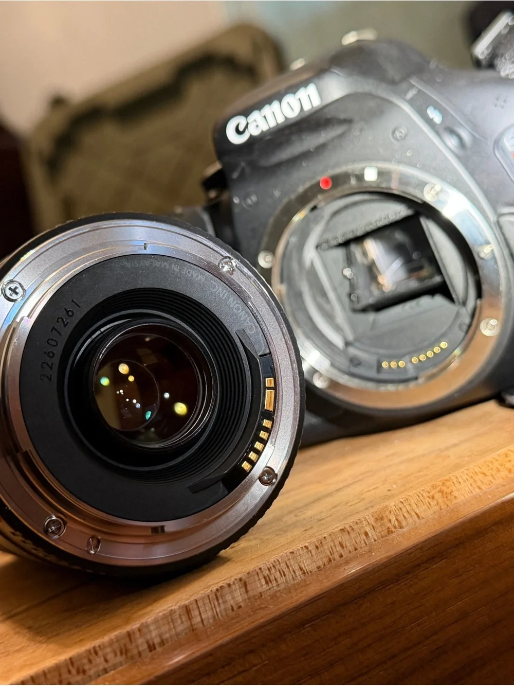 Canon DSLR Camera with Black Telephoto Zoom Lens